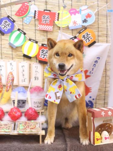 20240730シヴァくん